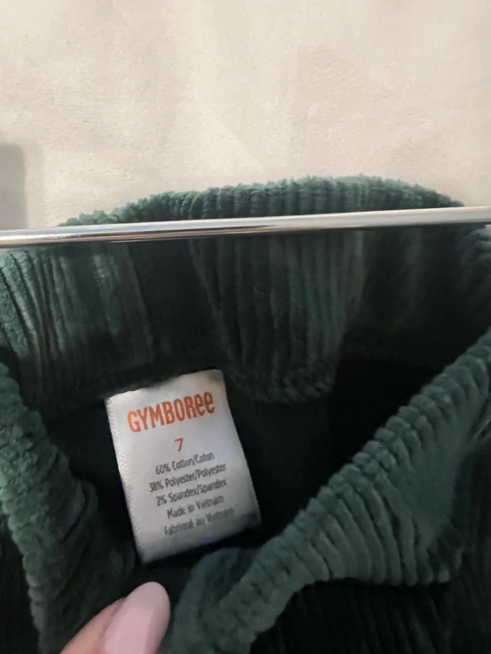 Gymboree velour leggings
